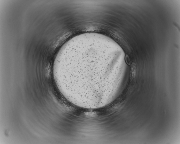 X0000102360216200808221723