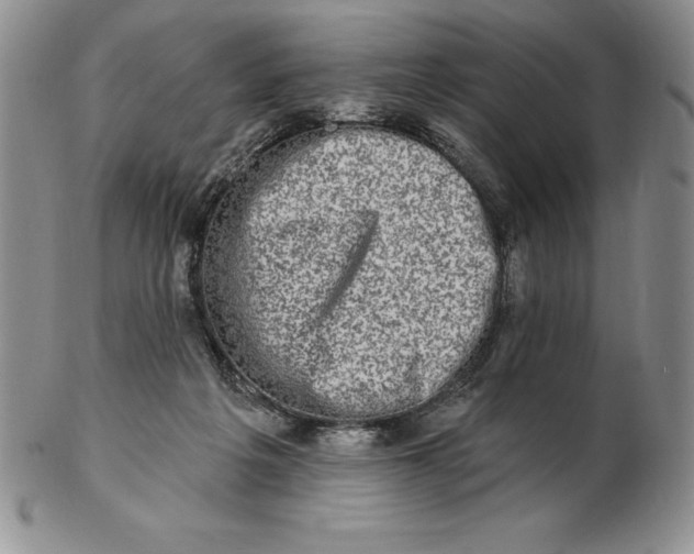 X0000102360217200808221723