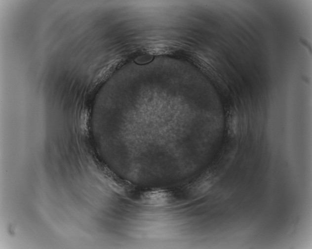 X0000102360219200808221723