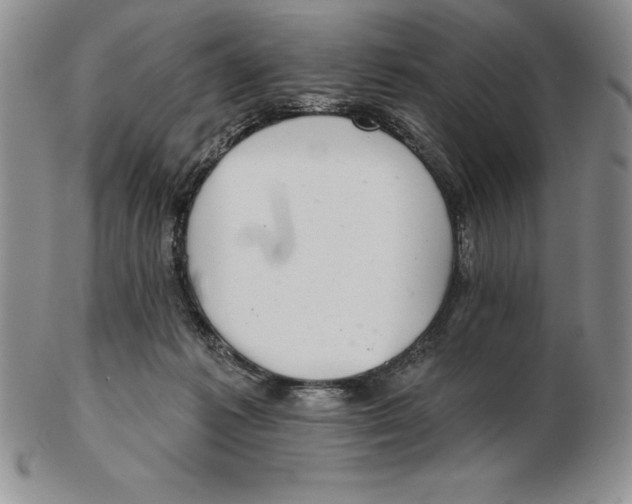 X0000102360221200808221723