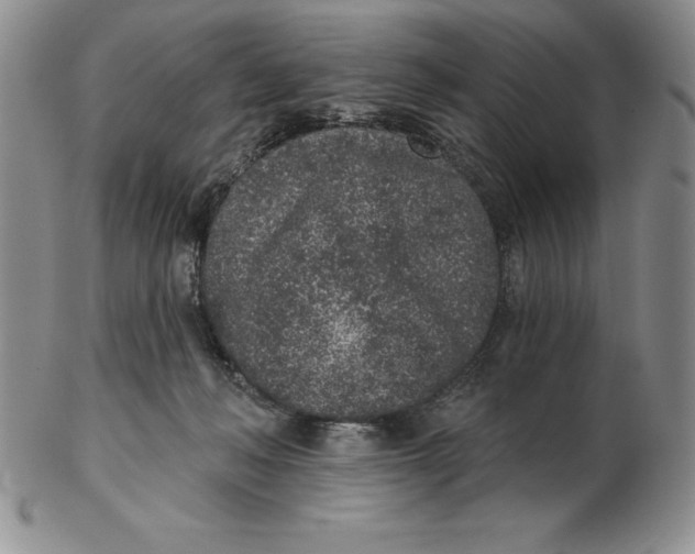 X0000102360222200808221723