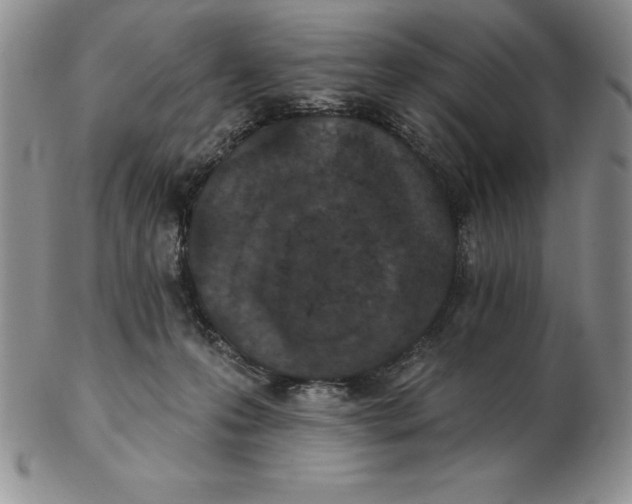 X0000102360223200808221723