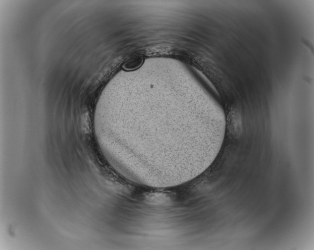 X0000102360224200808221723