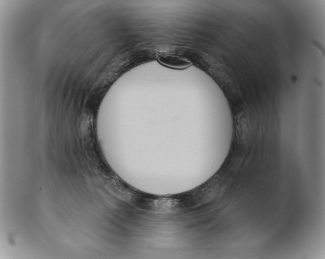 X0000102360225200808221723