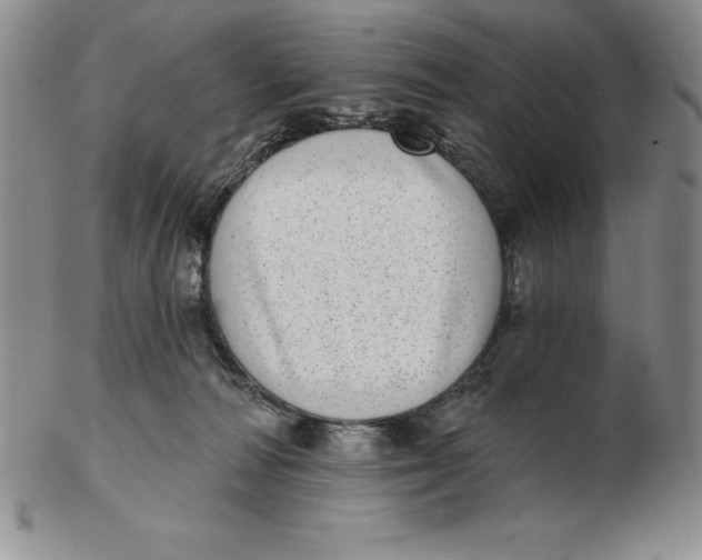 X0000102360226200808221723