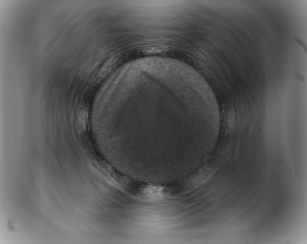 X0000102360227200808221723