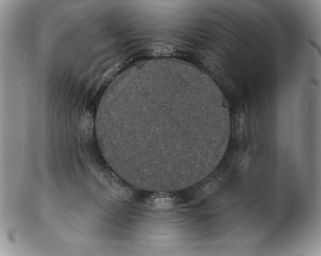 X0000102360228200808221723