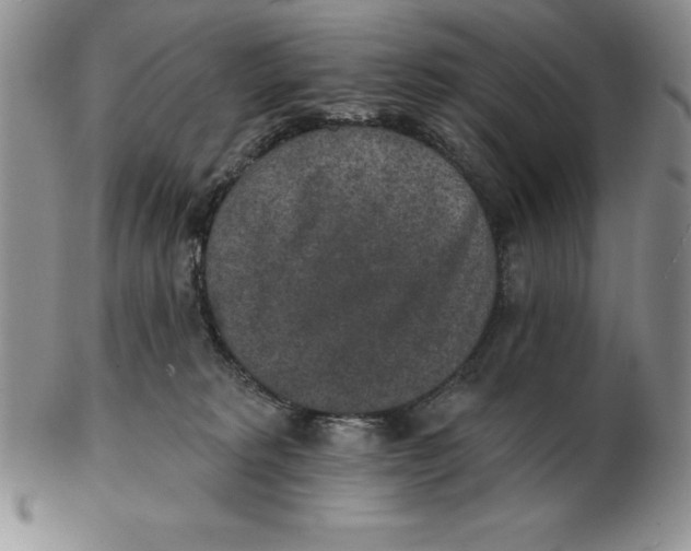 X0000102360229200808221723