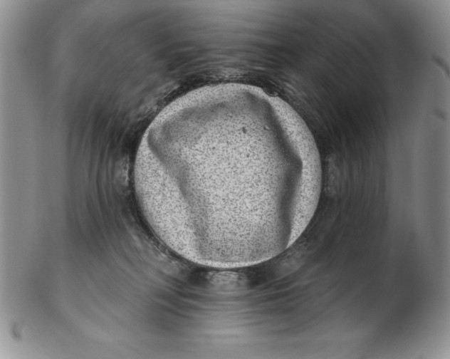 X0000102360230200808221723