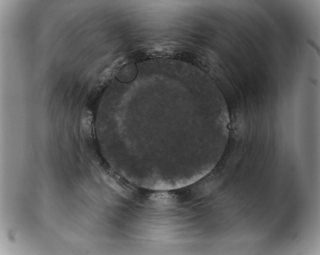 X0000102360231200808221723