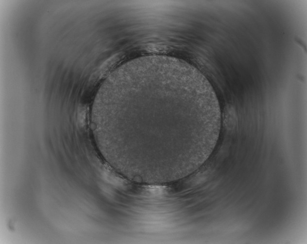 X0000102360233200808221723