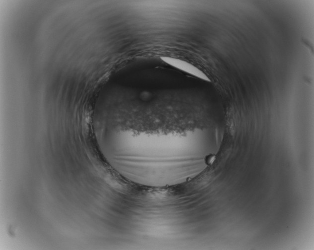 X0000102360235200808221723