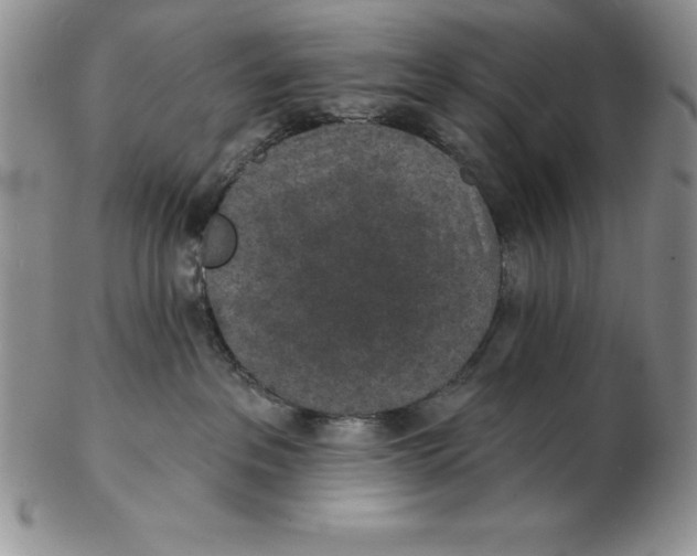 X0000102360237200808221723