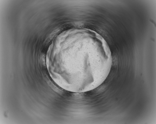 X0000102360238200808221723