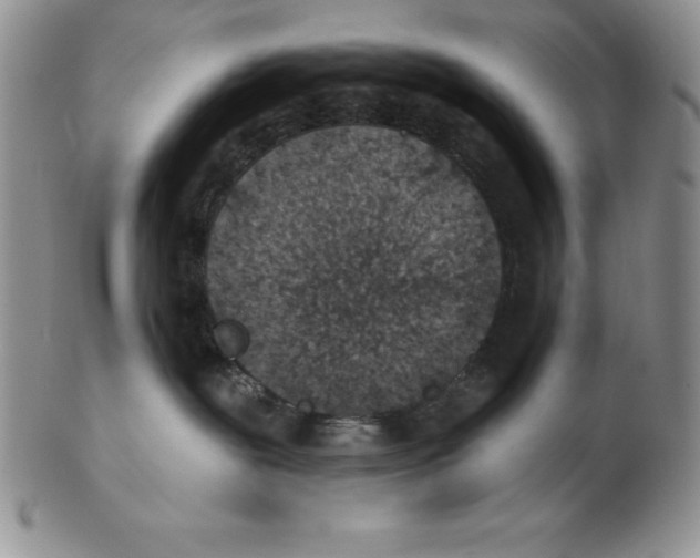 X0000102360239200808221723