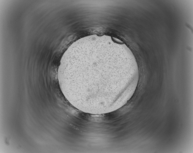 X0000102360240200808221723