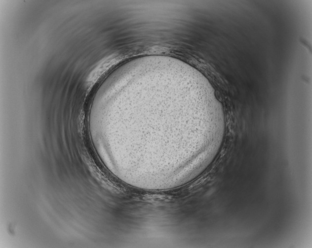 X0000102360242200808221722