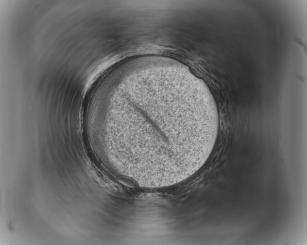 X0000102360244200808221722