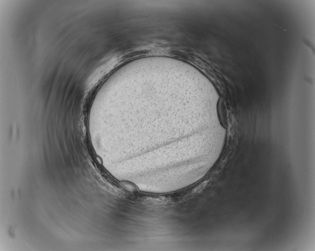 X0000102360245200808221722