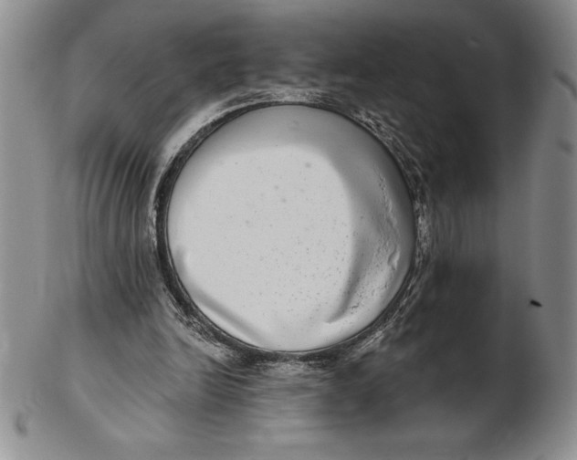 X0000102360246200808221722