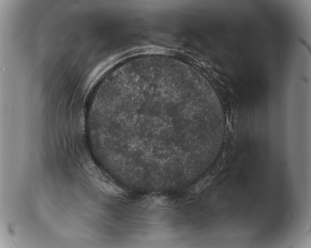 X0000102360247200808221722