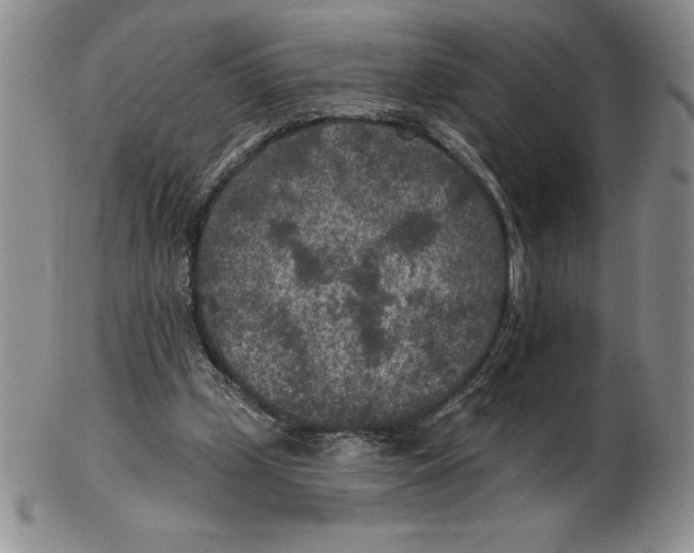 X0000102360249200808221722