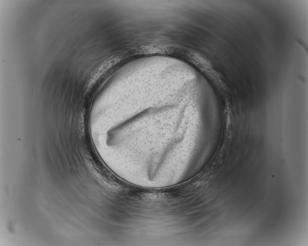 X0000102360250200808221722