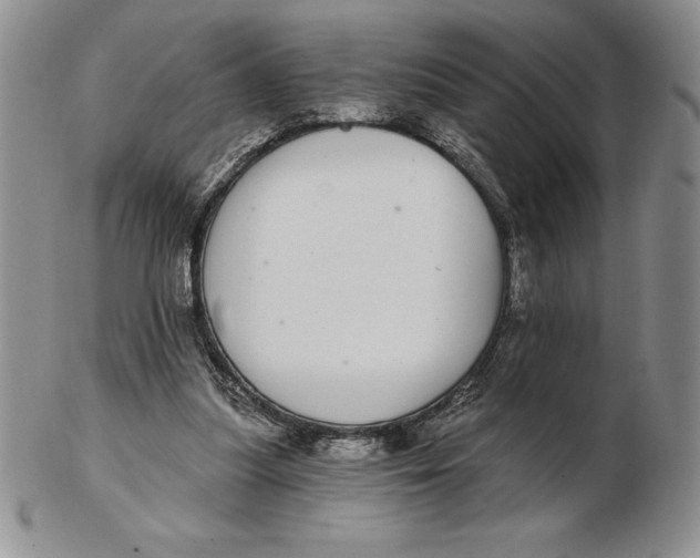 X0000102360251200808221722