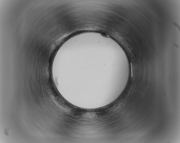 X0000102360252200808221723