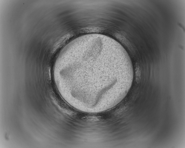 X0000102360254200808221723