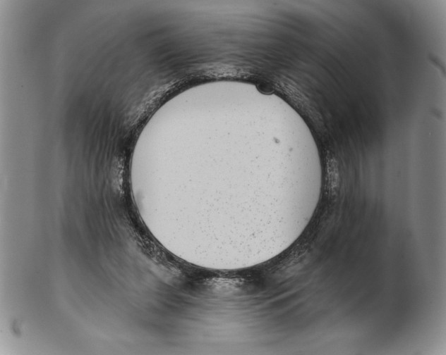 X0000102360255200808221723