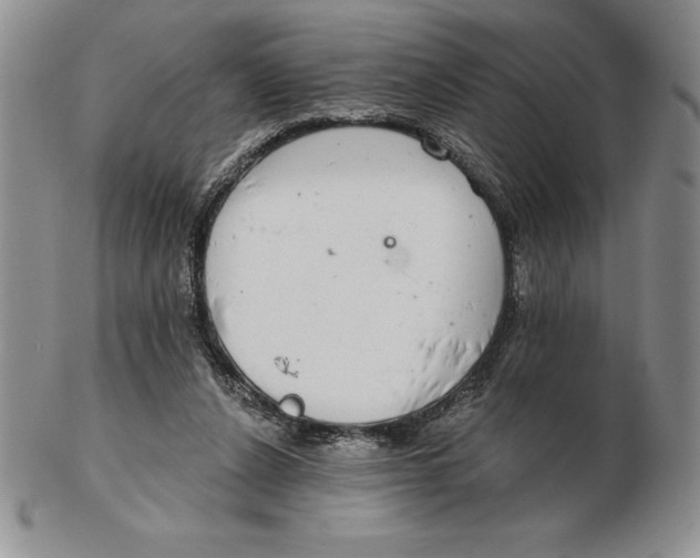 X0000102360256200808221723