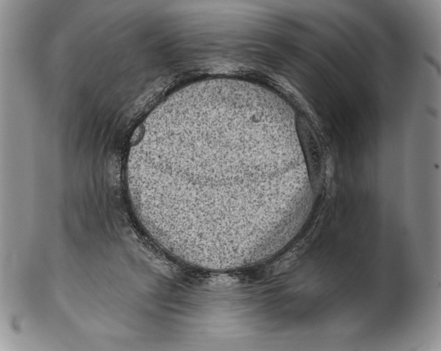 X0000102360257200808221723