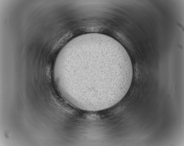 X0000102360258200808221723