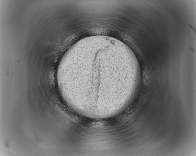 X0000102360259200808221723