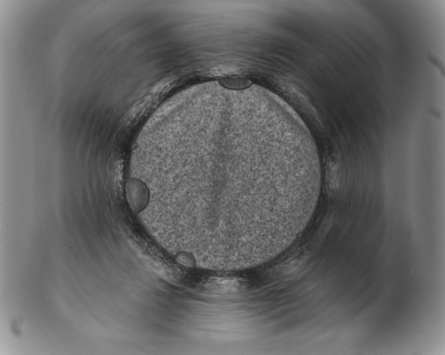 X0000102360260200808221723