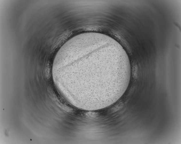 X0000102360261200808221723