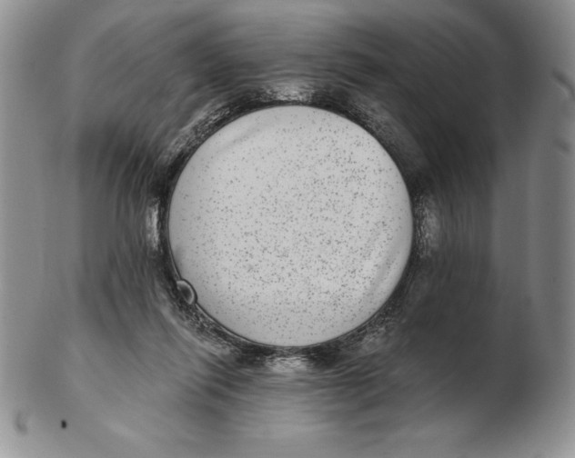 X0000102360262200808221723