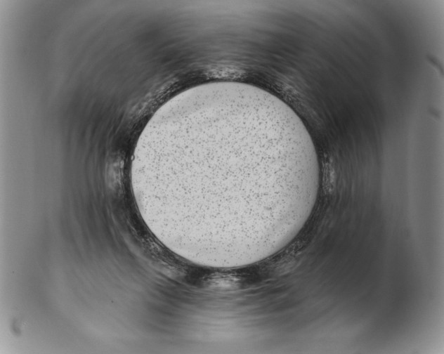 X0000102360263200808221723