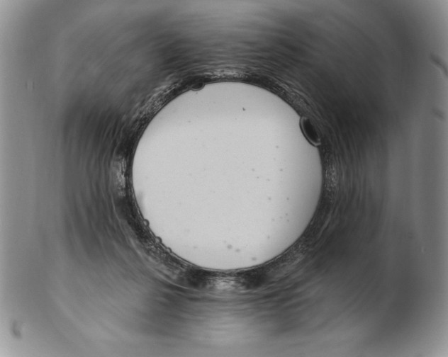 X0000102360264200808221723