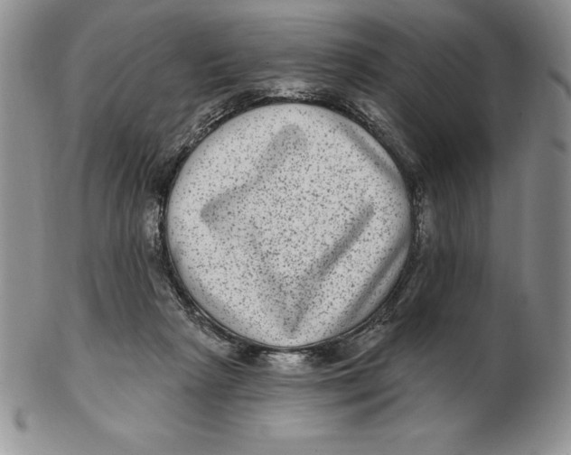 X0000102360265200808221723