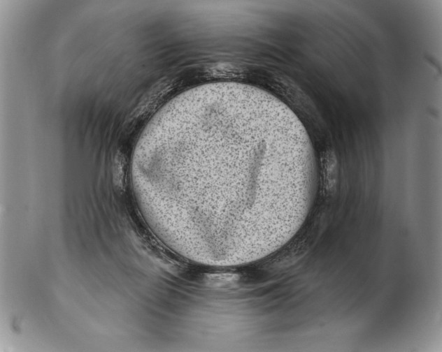 X0000102360266200808221723