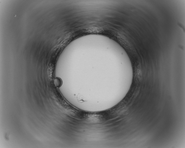 X0000102360268200808221723