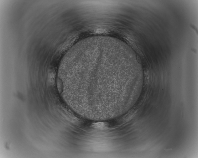 X0000102360269200808221723