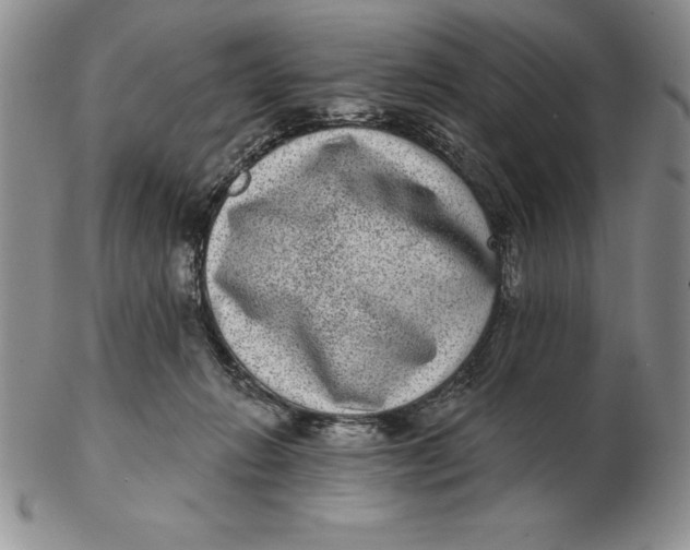 X0000102360270200808221723