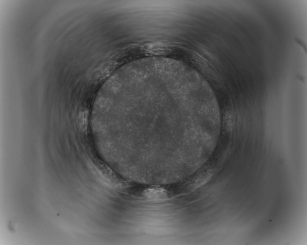 X0000102360271200808221723