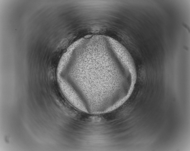 X0000102360272200808221723