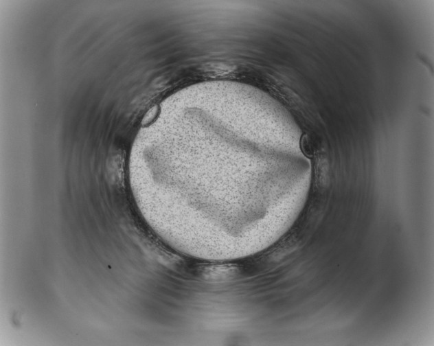 X0000102360274200808221723