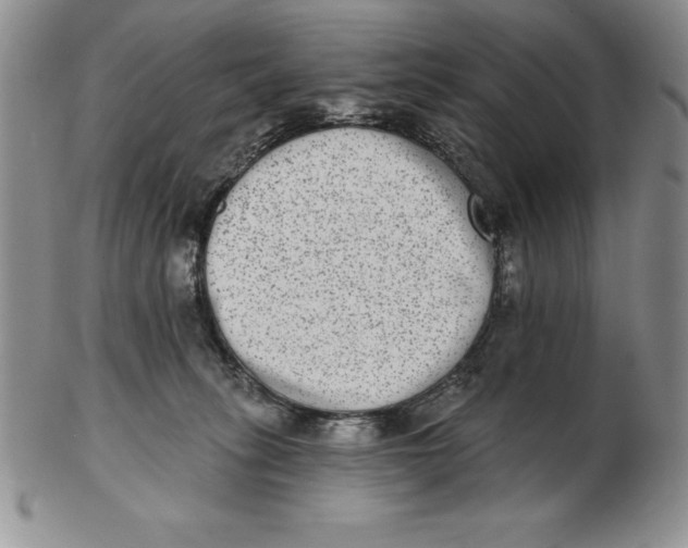 X0000102360275200808221723