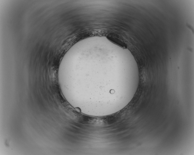 X0000102360276200808221723